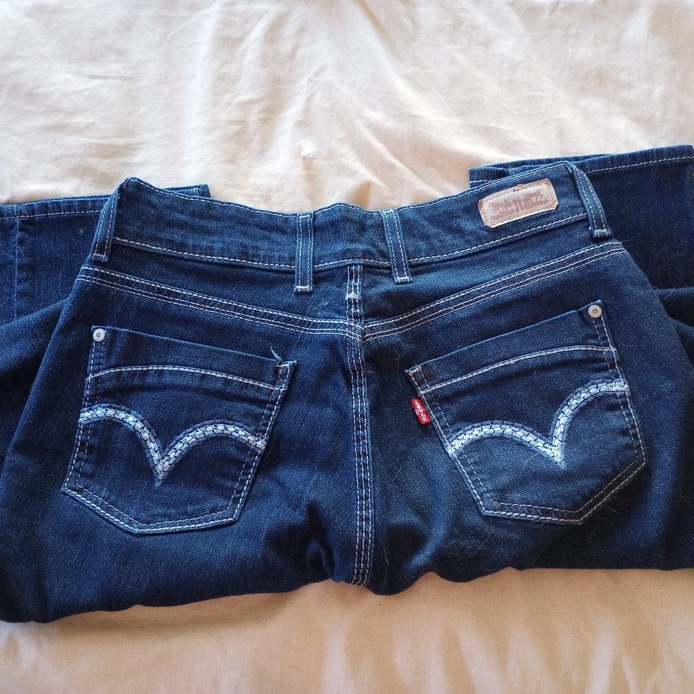 Levi's Curvy Skinny Leg jeans  29x32 8 medium